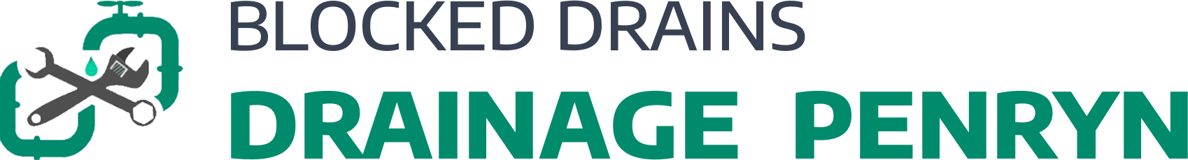 website logo